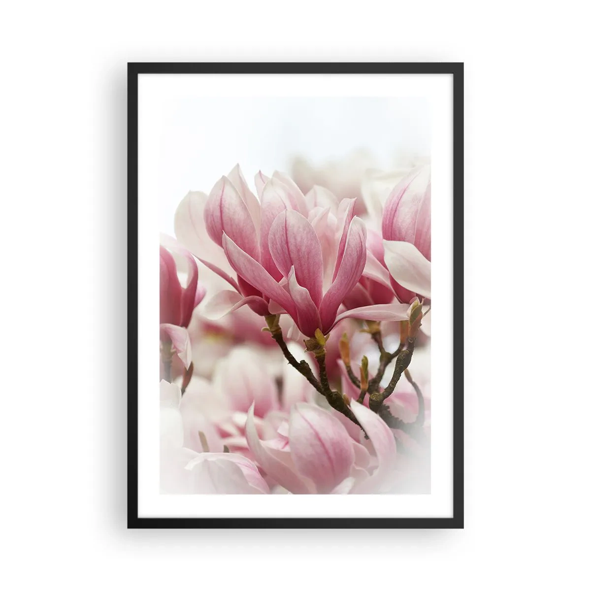 Affiche dans un cadre noir - Poster - Fleurs de printemps - 50x70cm - Fleurs de printemps - Décoration murale moderne pour le salon et la chambre ARTTOR