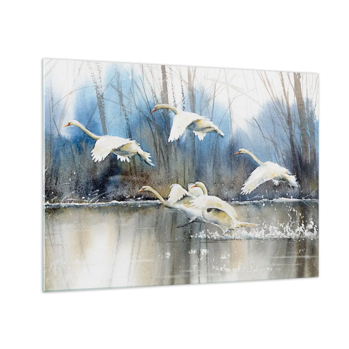 Impression sur verre - Image sur verre - Cygnes sauvages survolant un lac forestier paisible - 70x50cm - Comme dans un conte de fées sur les cygnes sauvages - Décoration murale moderne pour le salon et la chambre ARTTOR