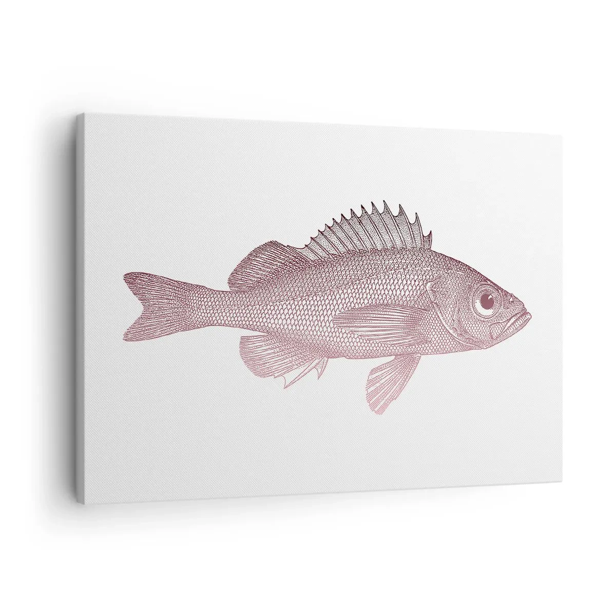 Impression sur toile - Image sur toile - Illustration détaillée d'un poisson sur fond blanc - 70x50cm - Poisson aux grands yeux - Décoration murale moderne pour le salon et la chambre ARTTOR