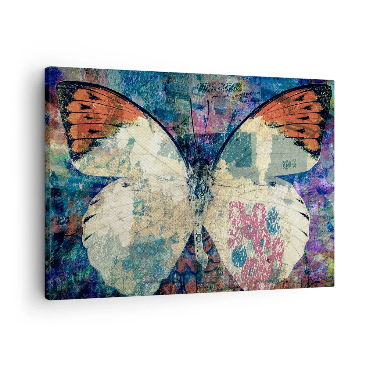 Impression sur toile - Image sur toile - Papillon sur un fond artistique abstrait avec des détails colorés - 70x50cm - Fragilité subtile - Décoration murale moderne pour le salon et la chambre ARTTOR
