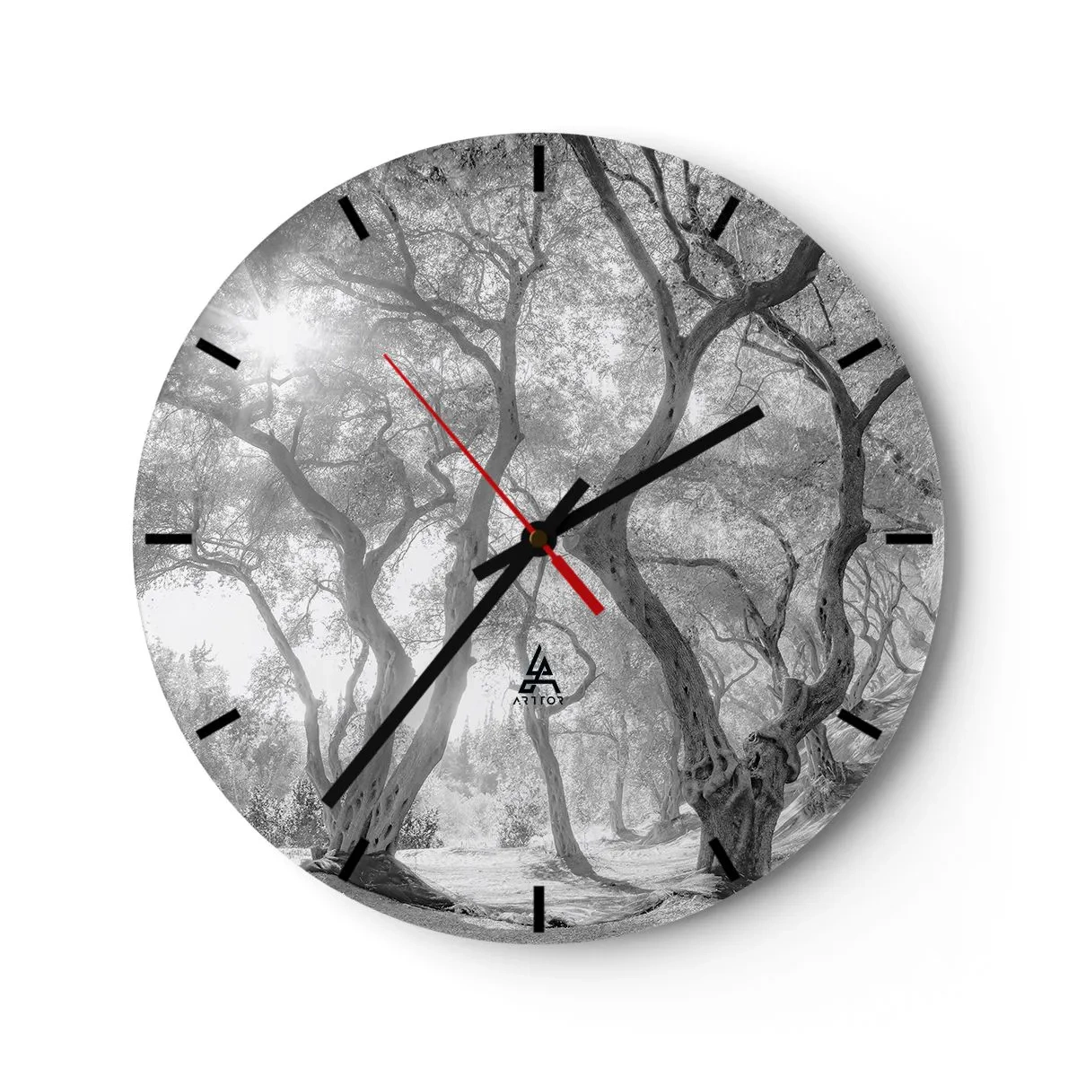 Horloge murale - Pendule murale - Arbres noirs et blancs au soleil dans la forêt - 30x30cm - Dans l'oliveraie - Décoration murale moderne pour le salon, la cuisine et la chambre ARTTOR