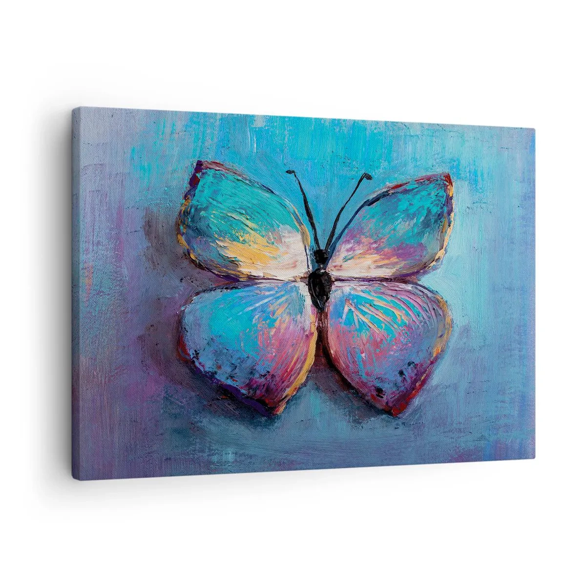 Impression sur toile - Image sur toile - Papillon coloré sur fond bleu - 70x50cm - Dans toute sa splendeur - Décoration murale moderne pour le salon et la chambre ARTTOR