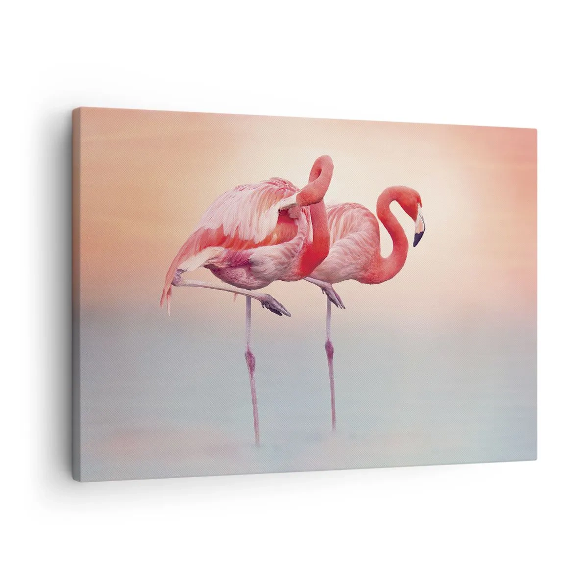 Impression sur toile - Image sur toile - Flamants roses aux couleurs pastel délicates sur fond d'eau - 70x50cm - Dans les couleurs du soleil couchant - Décoration murale moderne pour le salon et la chambre ARTTOR