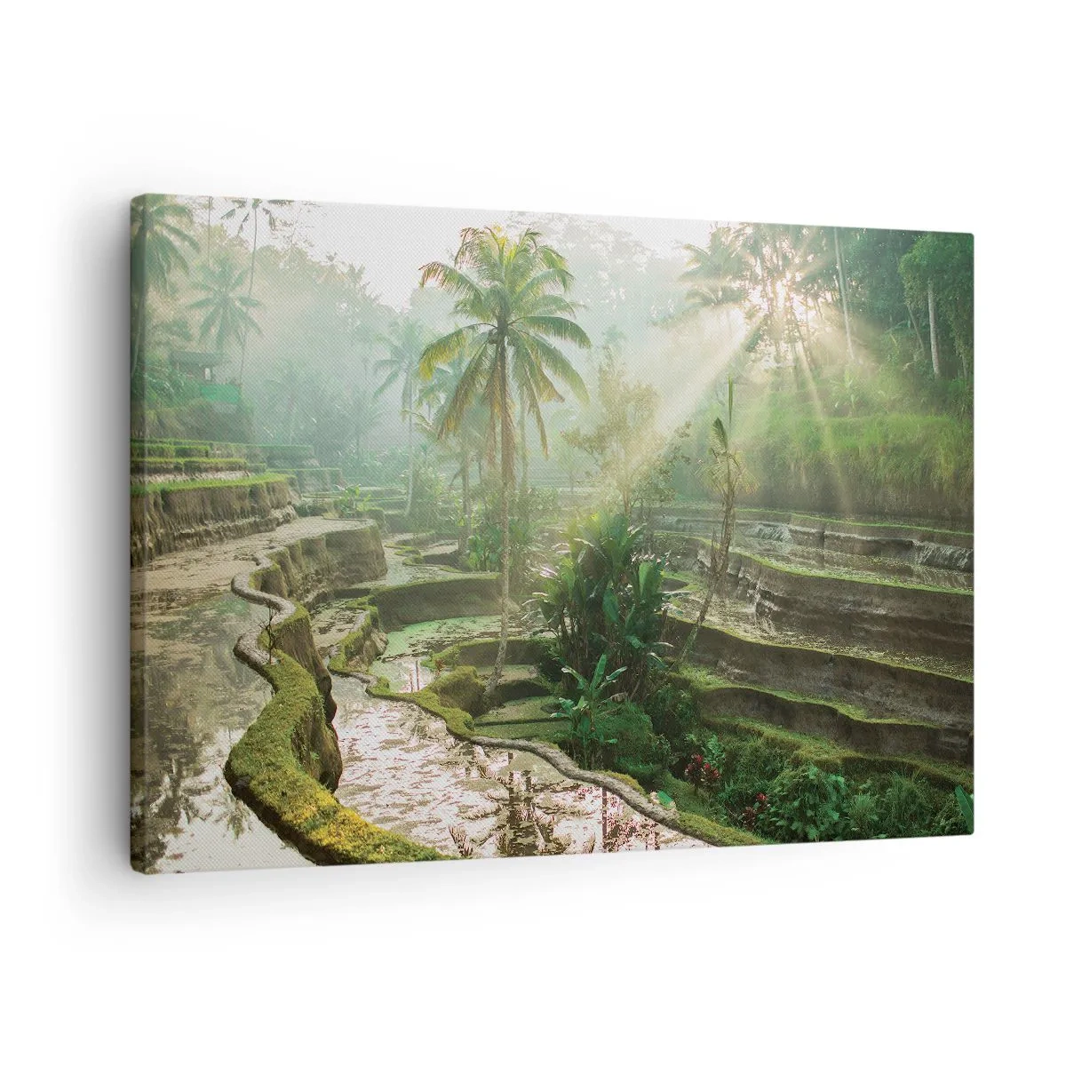 Impression sur toile - Image sur toile - Rizières en terrasses avec palmiers sous les rayons du soleil - 70x50cm - Grandir au soleil - Décoration murale moderne pour le salon et la chambre ARTTOR