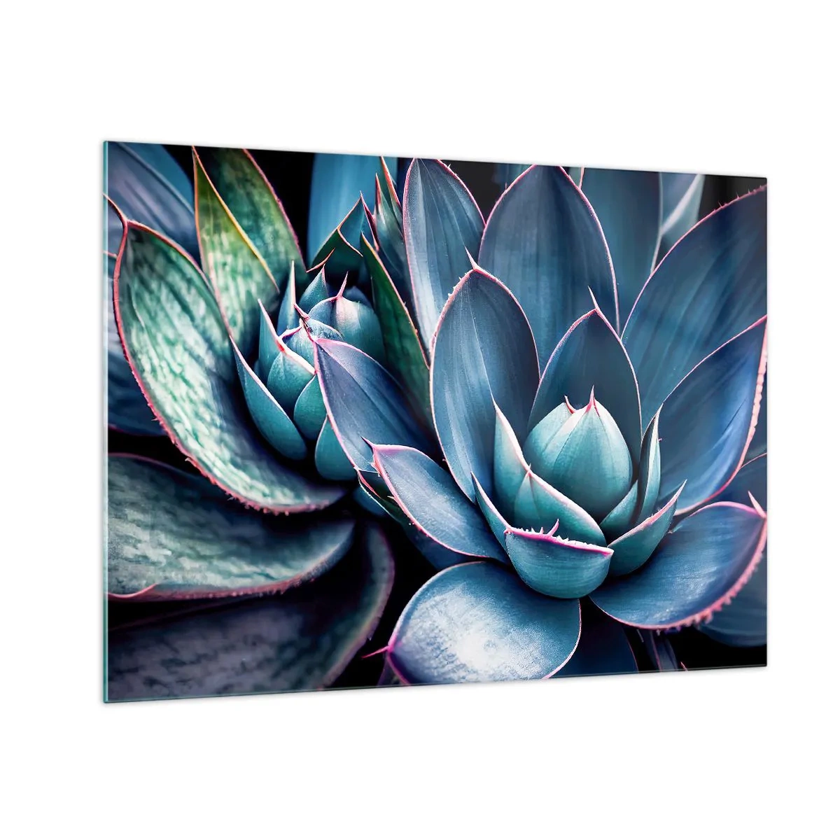 Impression sur verre - Image sur verre - Gros plan sur les feuilles vertes luxuriantes des plantes succulentes - 70x50cm - Force vital - Décoration murale moderne pour le salon et la chambre ARTTOR