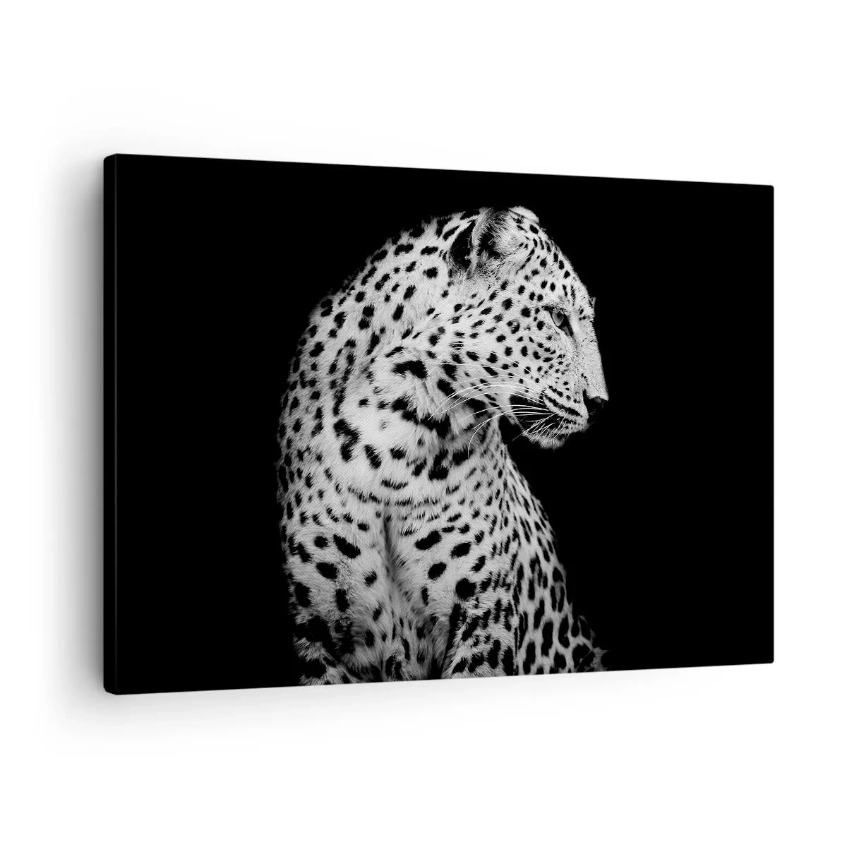 Impression sur toile - Image sur toile - Image en noir et blanc d'un léopard sur fond noir - 70x50cm - Presque un profil parfait! - Décoration murale moderne pour le salon et la chambre ARTTOR