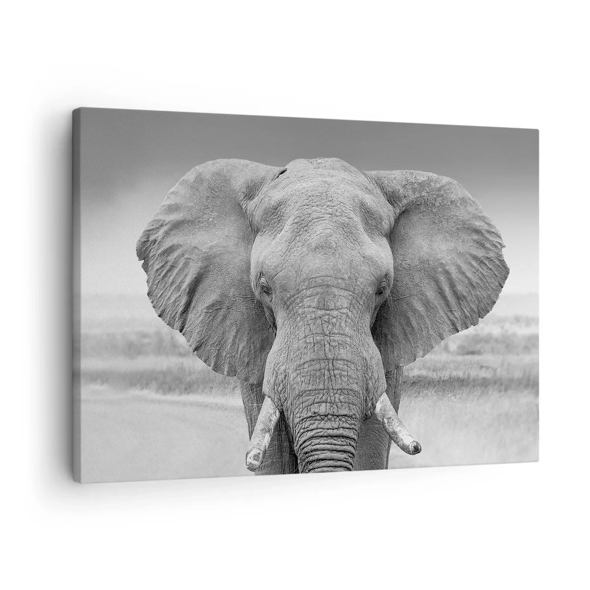 Impression sur toile - Image sur toile - Portrait d'un éléphant en noir et blanc - 70x50cm - Bienvenue dans mon monde - Décoration murale moderne pour le salon et la chambre ARTTOR