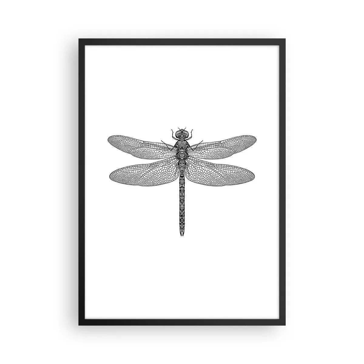 Affiche dans un cadre noir - Poster - Illustration en noir et blanc d'une libellule sur fond blanc - 50x70cm - Précision de la nature - Décoration murale moderne pour le salon et la chambre ARTTOR