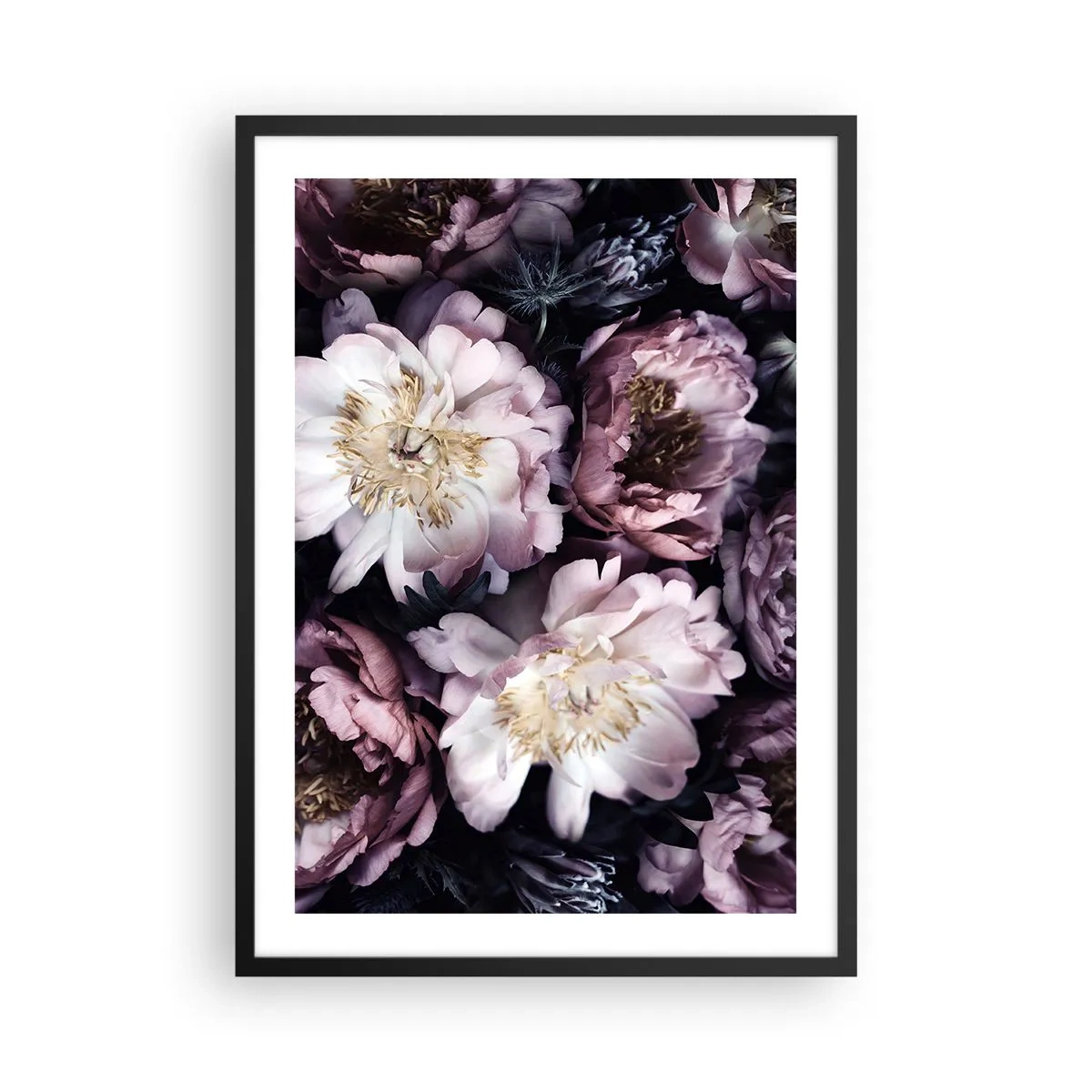 Affiche dans un cadre noir - Poster - Fleurs de pivoine délicates aux couleurs douces - 50x70cm - Bouquet à l'ancienne - Décoration murale moderne pour le salon et la chambre ARTTOR