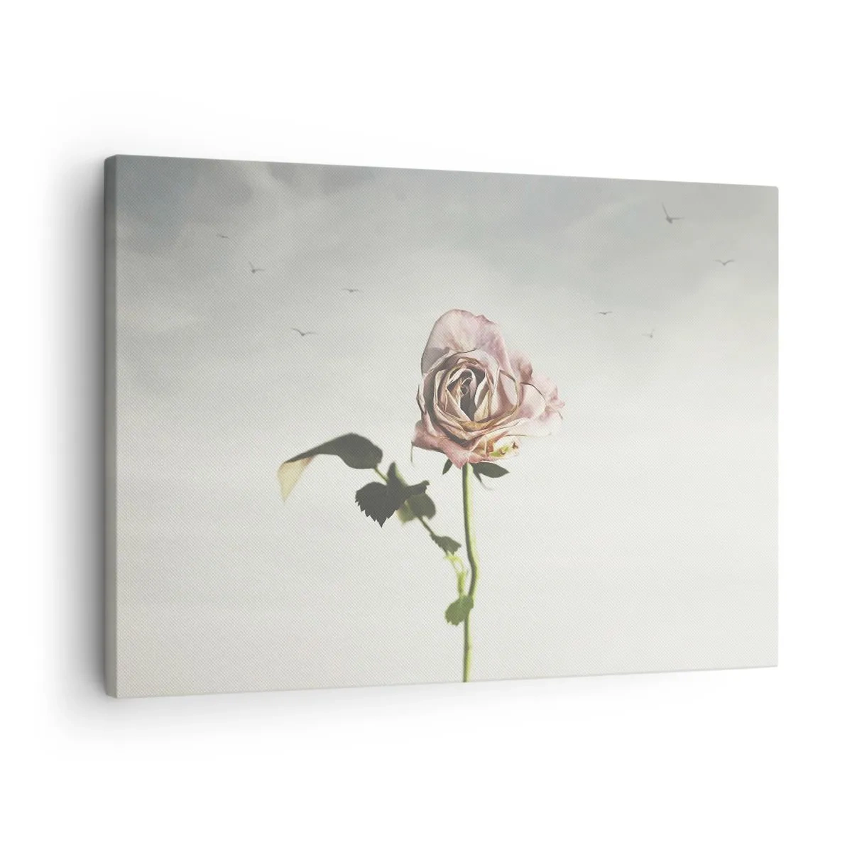 Impression sur toile - Image sur toile - Une rose délicate contre un ciel lumineux avec des oiseaux en vol - 70x50cm - Bonjour de printemps - Décoration murale moderne pour le salon et la chambre ARTTOR