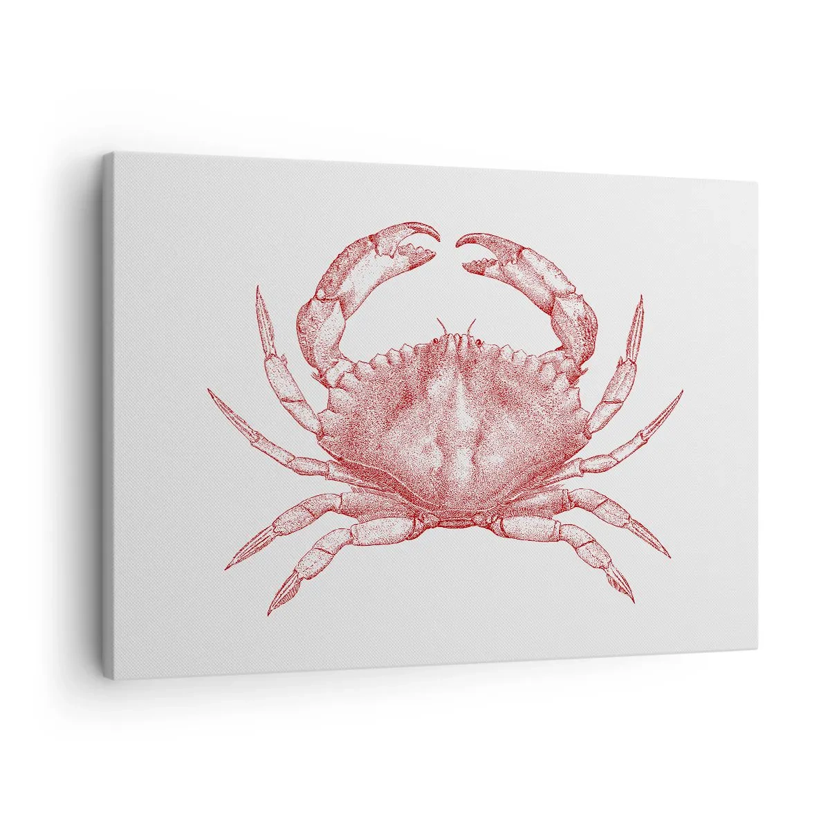 Impression sur toile - Image sur toile - Dessin d'un crabe dans une teinte rouge - 70x50cm - Le crabe des crabes - Décoration murale moderne pour le salon et la chambre ARTTOR