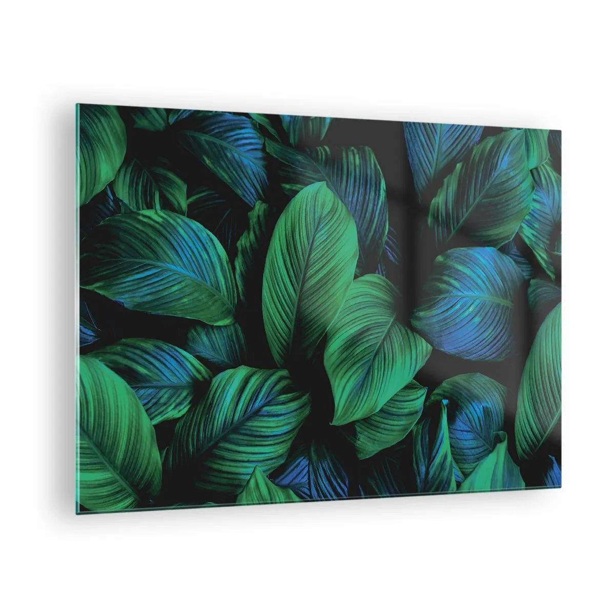 Impression sur verre - Image sur verre - Gros plan de feuilles aux nuances de vert intense - 70x50cm - Dans la foule verte - Décoration murale moderne pour le salon et la chambre ARTTOR