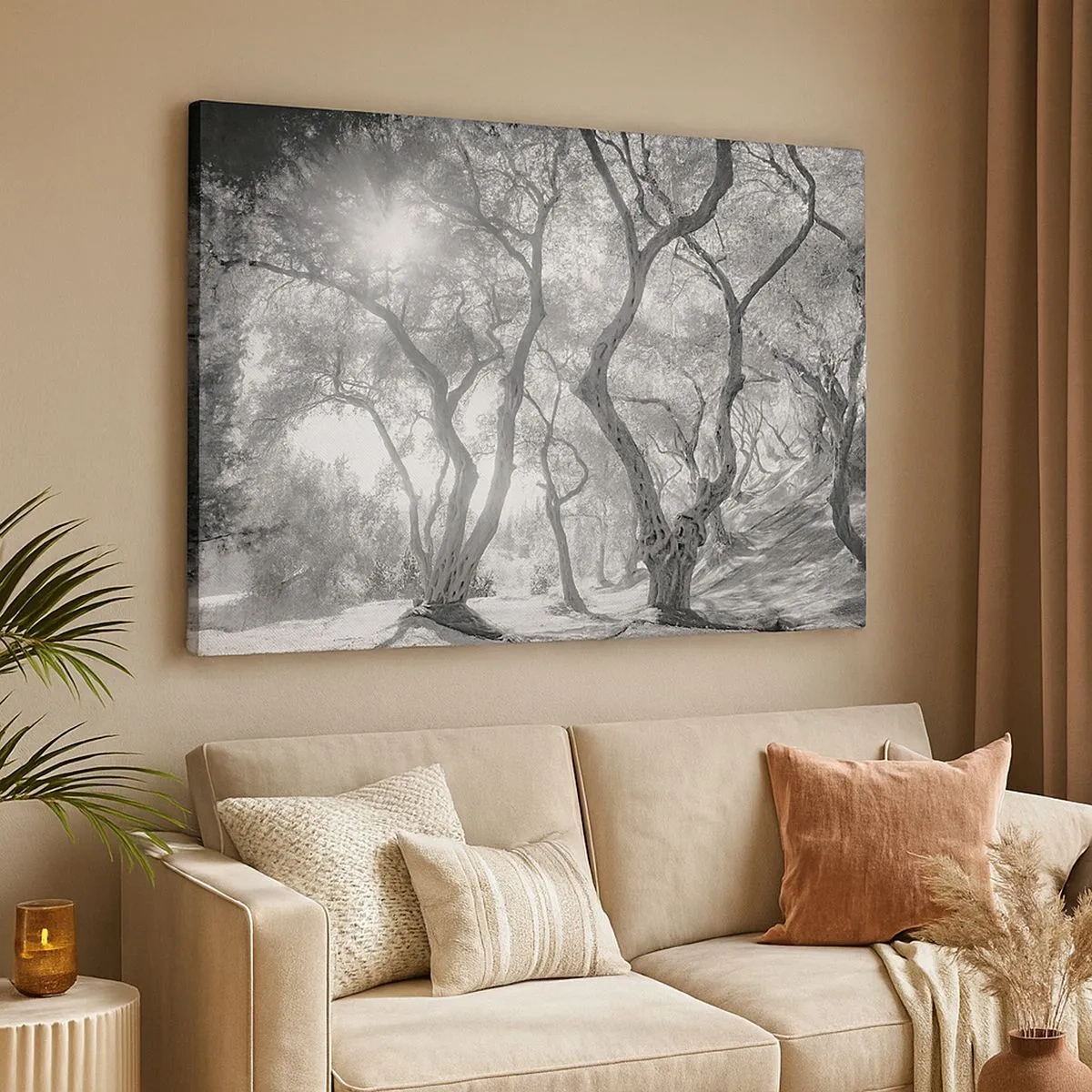 Impression sur toile - Image sur toile - Vue en noir et blanc d'arbres dans une oliveraie avec des rayons de soleil - 70x50cm - Dans l'oliveraie - Décoration murale moderne pour le salon et la chambre ARTTOR