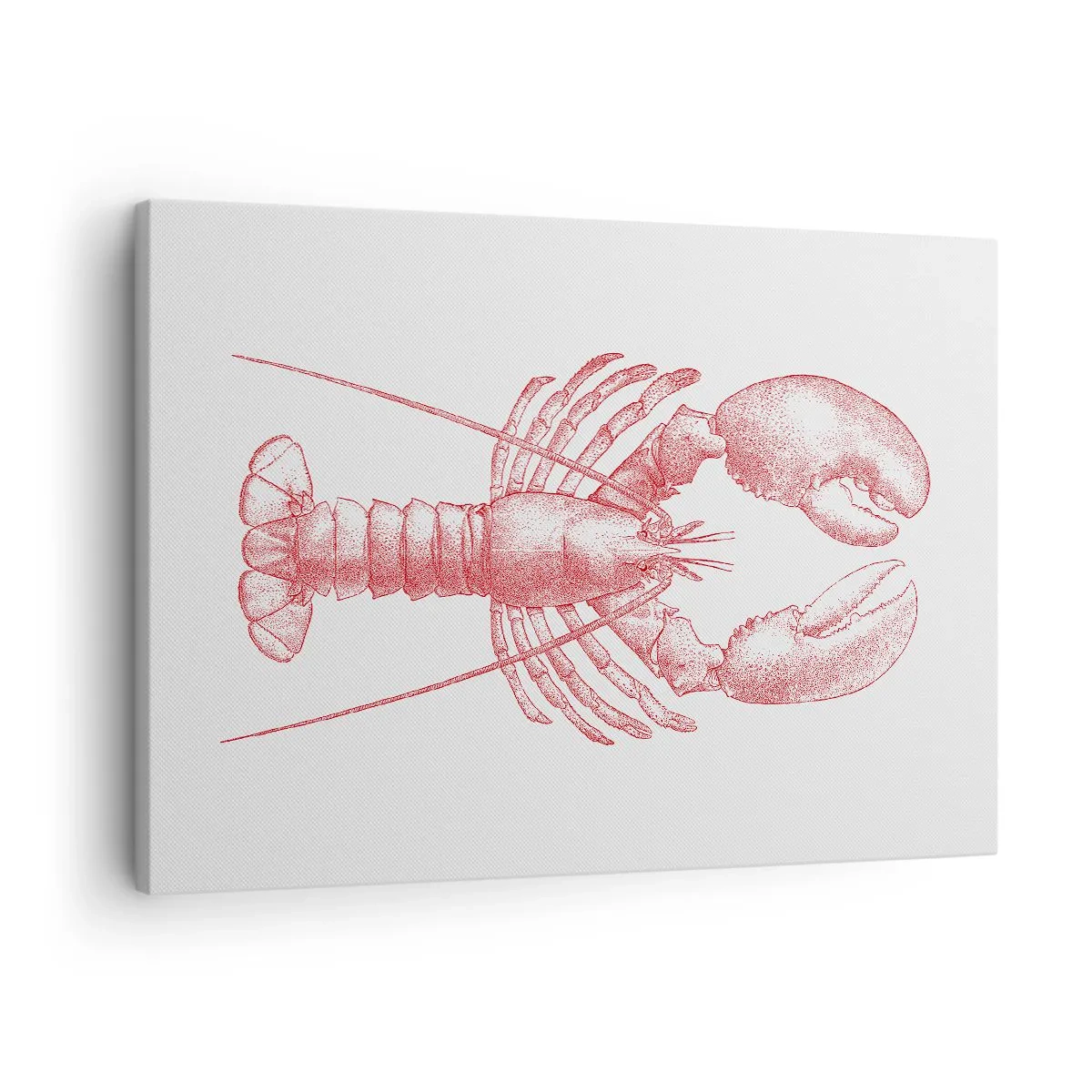 Impression sur toile - Image sur toile - Dessin d'un homard dans une teinte rouge - 70x50cm - Un homard digne d'Homère - Décoration murale moderne pour le salon et la chambre ARTTOR