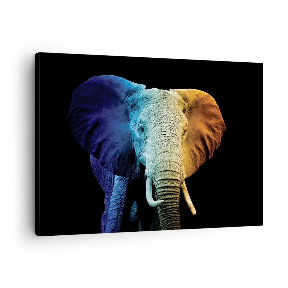 Impression sur toile - Image sur toile - Portrait d'éléphant aux couleurs de l'arc-en-ciel - 70x50cm - Excentrique, pas bizarre - Décoration murale moderne pour le salon et la chambre ARTTOR