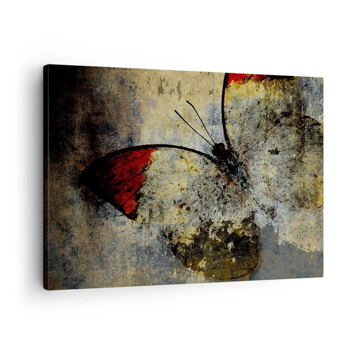 Impression sur toile - Image sur toile - Un papillon dans les tons de rouge et de gris sur un fond texturé - 70x50cm - Regarde avant que je disparaisse - Décoration murale moderne pour le salon et la chambre ARTTOR