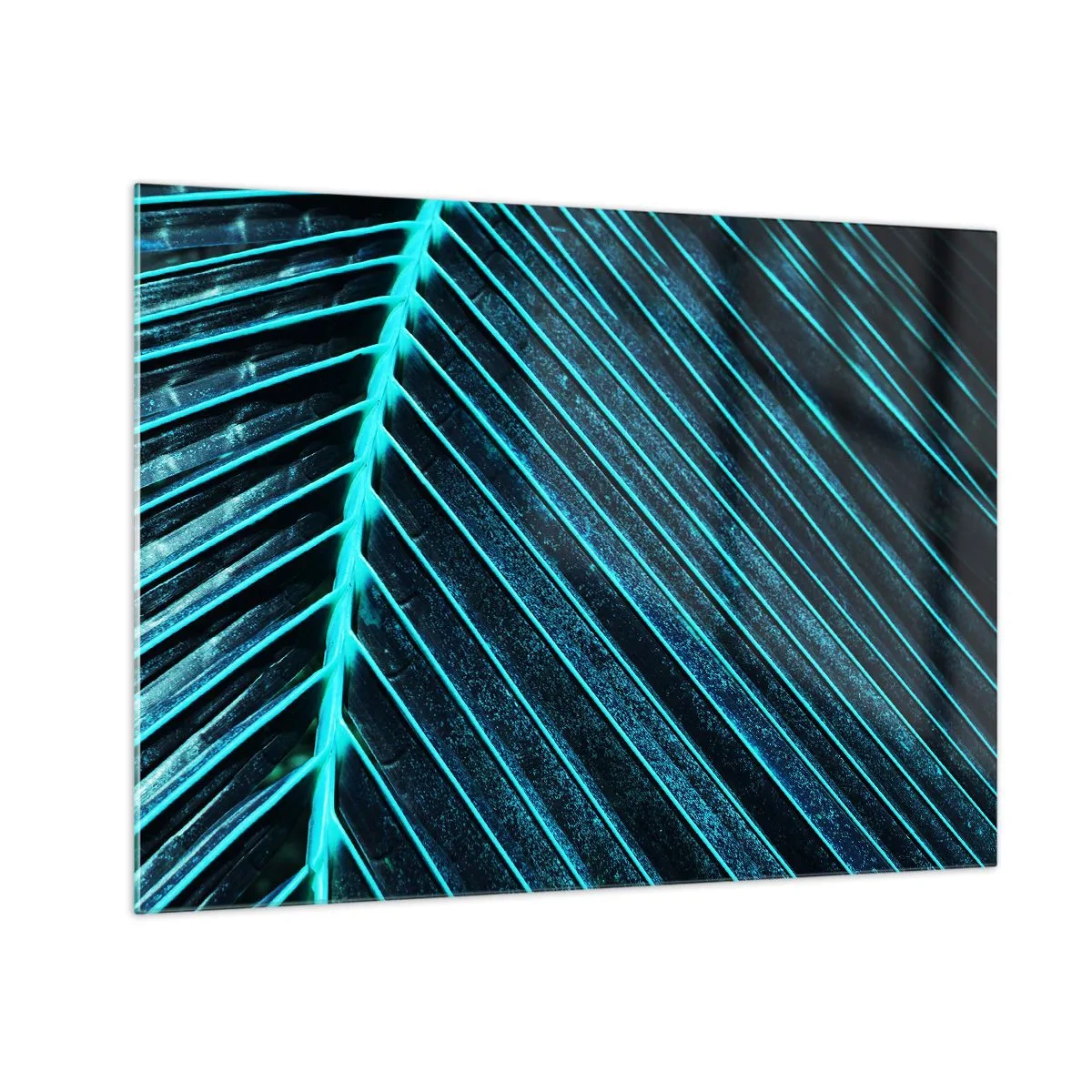 Impression sur verre - Image sur verre - Macrophotographie d'une feuille de palmier dans des tons turquoise - 70x50cm - Texture verte - Décoration murale moderne pour le salon et la chambre ARTTOR