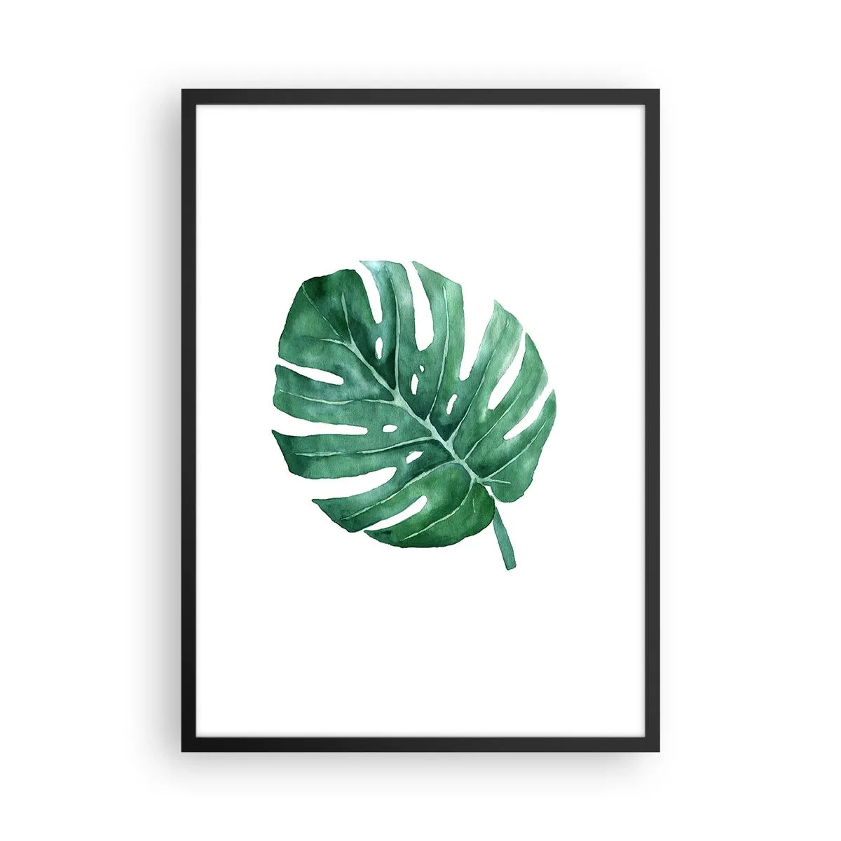 Affiche dans un cadre noir - Poster - Illustration à l'aquarelle d'une feuille de monstera sur fond blanc - 50x70cm - Concept vert - Décoration murale moderne pour le salon et la chambre ARTTOR