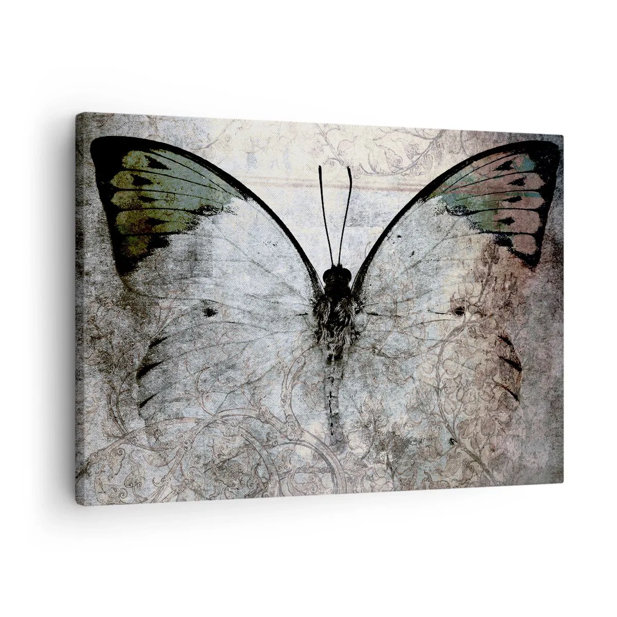 Impression sur toile - Image sur toile - Un papillon dans les tons de vert et de gris sur un fond décoratif - 70x50cm - Dans le style Art Nouveau - Décoration murale moderne pour le salon et la chambre ARTTOR