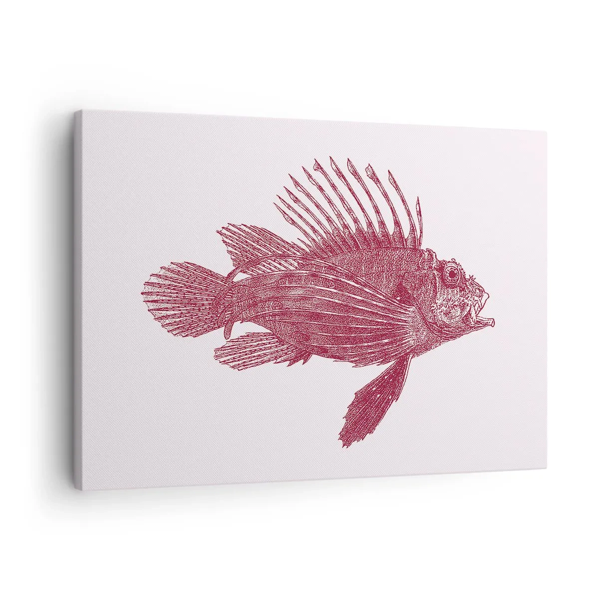 Impression sur toile - Image sur toile - Dessin d'un poisson dans une teinte rouge - 70x50cm - Un habitant des eaux exotiques - Décoration murale moderne pour le salon et la chambre ARTTOR