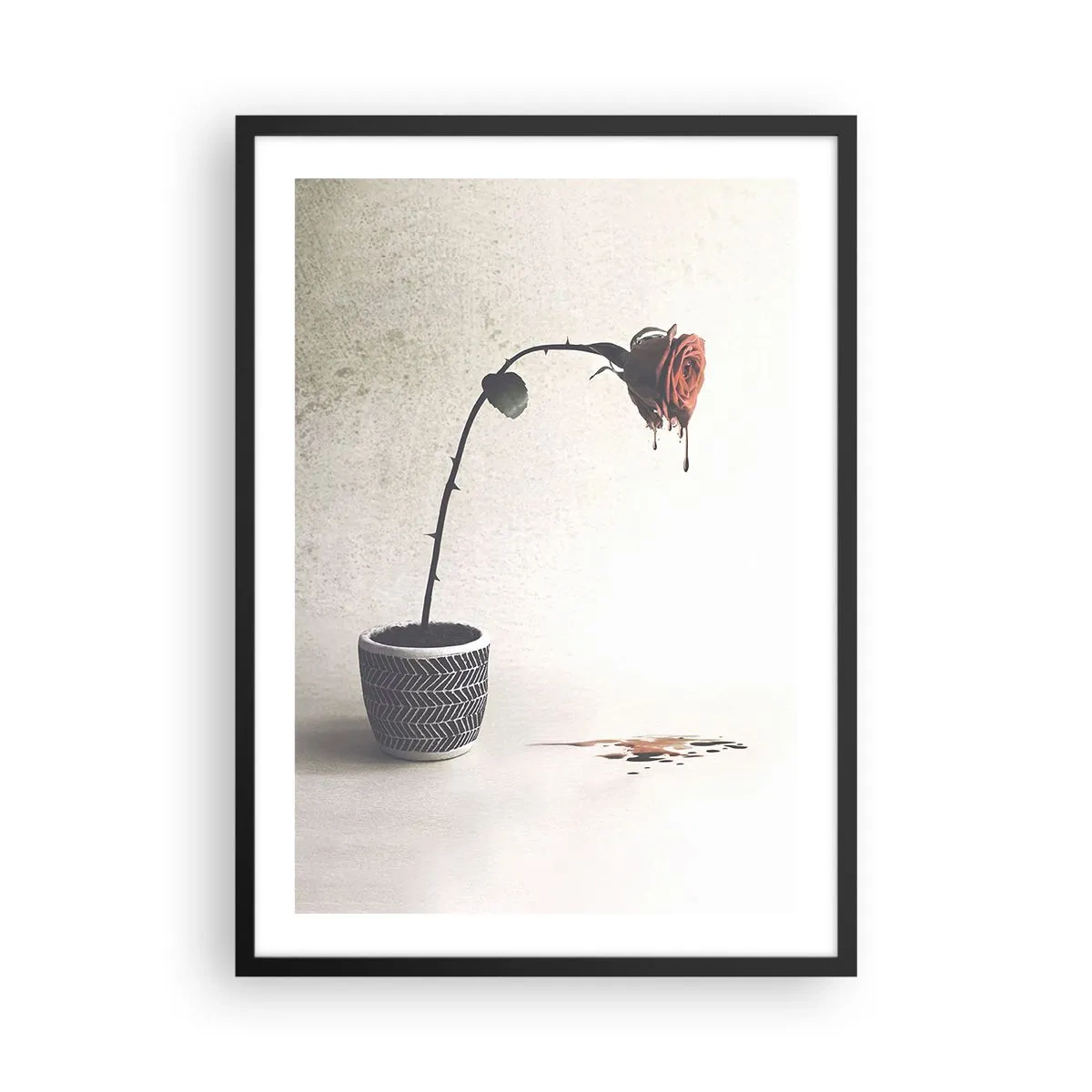Affiche dans un cadre noir - Poster - Une rose en pot avec un effet fluide artistique - 50x70cm - Rosa dolorosa - Décoration murale moderne pour le salon et la chambre ARTTOR