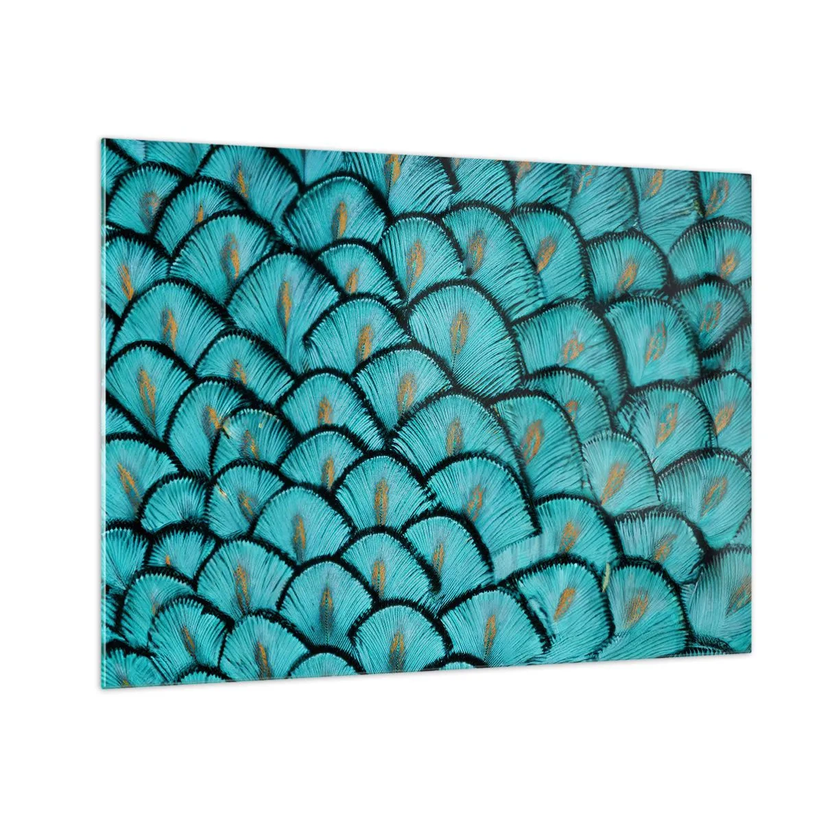 Impression sur verre - Image sur verre - Gros plan de plumes de paon turquoise formant un motif décoratif. - 70x50cm - Le grand gala des plumes - Décoration murale moderne pour le salon et la chambre ARTTOR