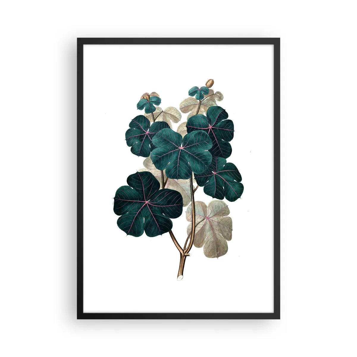 Affiche dans un cadre noir - Poster - Illustration botanique avec des feuilles vert foncé sur fond clair - 50x70cm - De l'ancien herbier - Décoration murale moderne pour le salon et la chambre ARTTOR