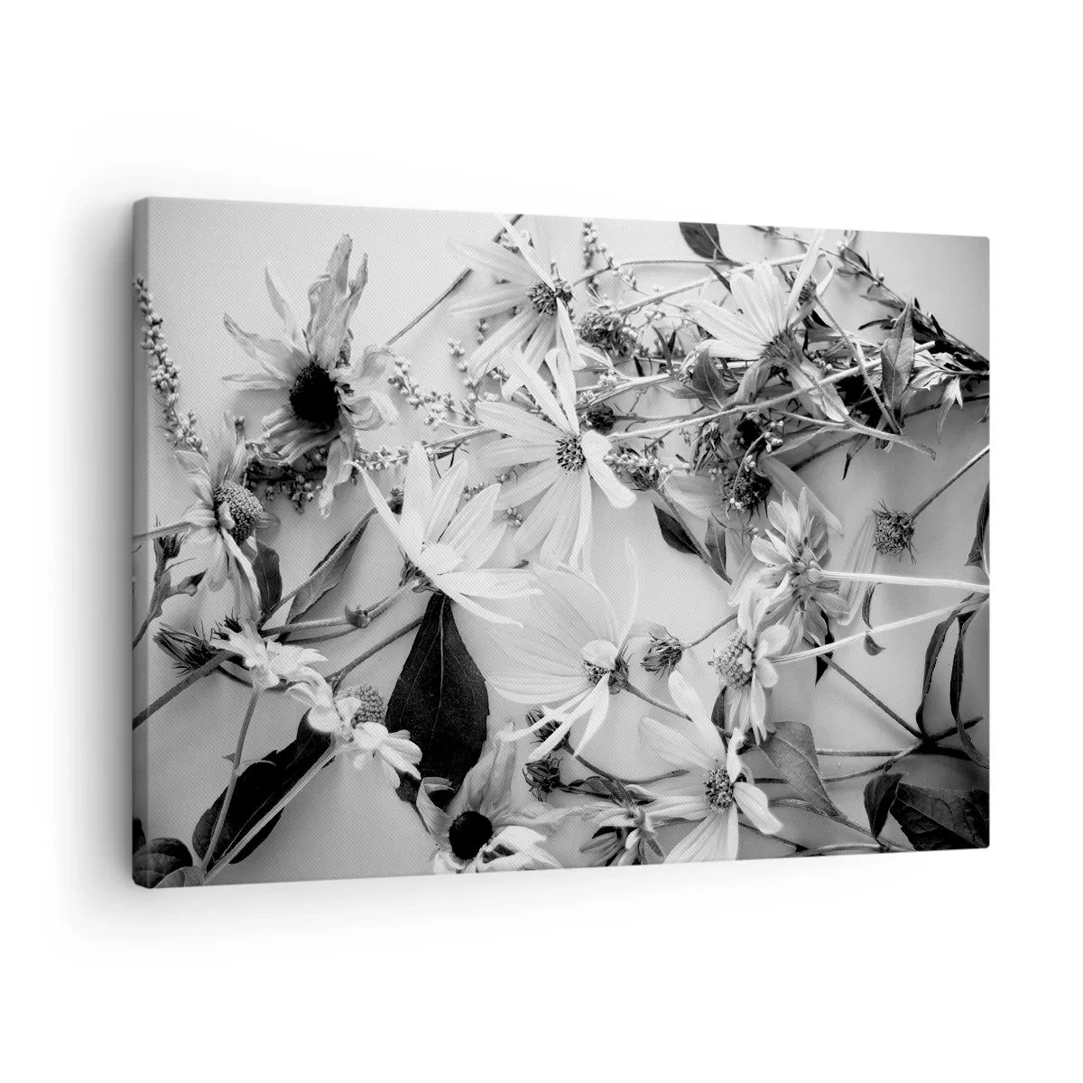 Impression sur toile - Image sur toile - Compositions florales en noir et blanc dans un style artistique subtil - 70x50cm - Non-un bouquet de fleurs - Décoration murale moderne pour le salon et la chambre ARTTOR