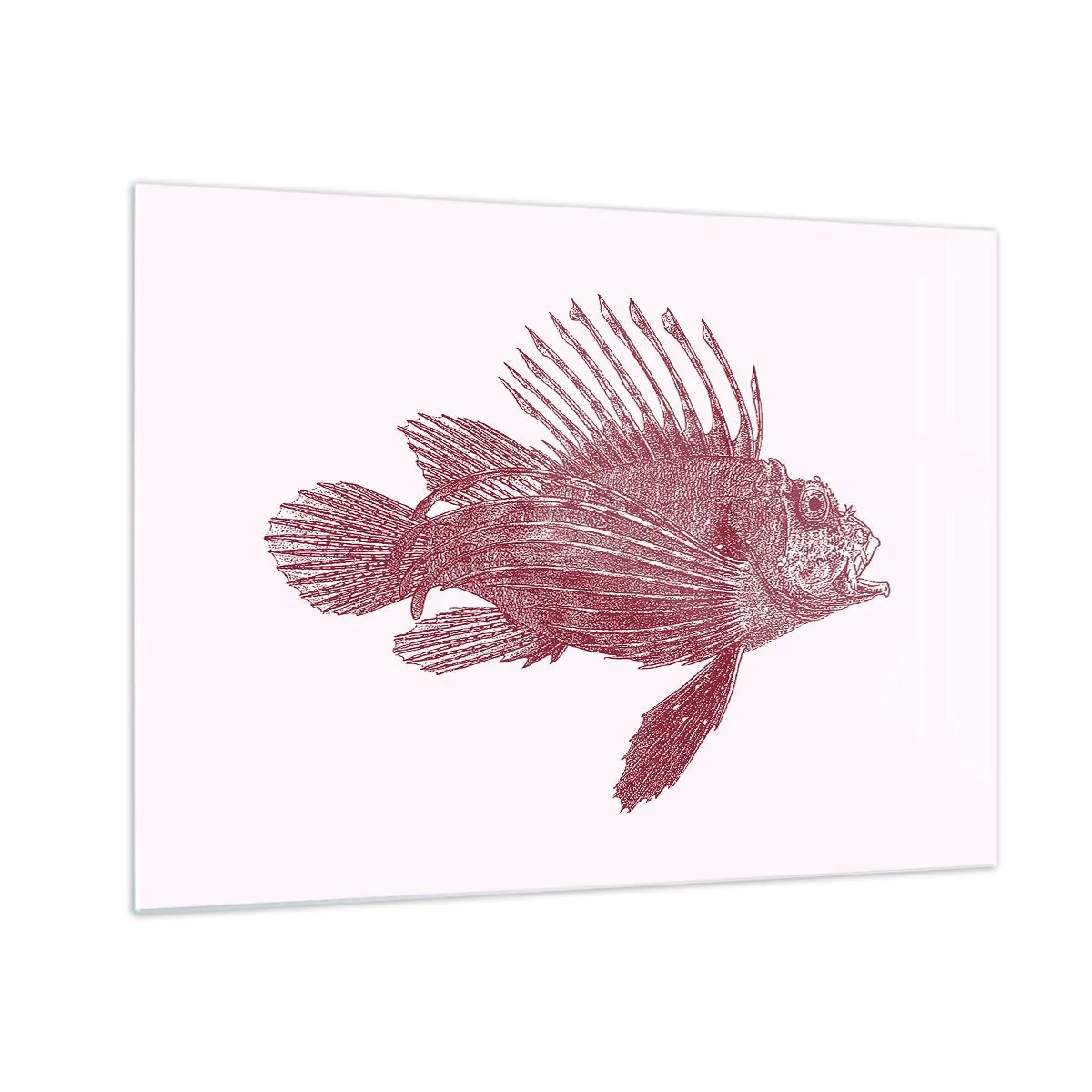 Impression sur verre - Image sur verre - Croquis d'un poisson exotique de couleur bordeaux sur fond clair - 70x50cm - Un habitant des eaux exotiques - Décoration murale moderne pour le salon et la chambre ARTTOR