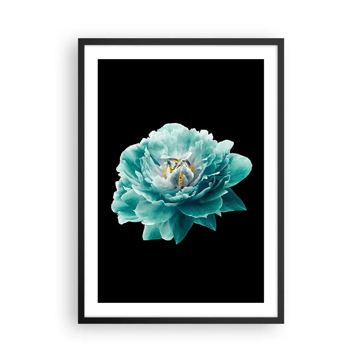 Affiche dans un cadre noir - Poster - Fleur turquoise avec une abeille sur fond noir - 50x70cm - Pétales bleus et dorés - Décoration murale moderne pour le salon et la chambre ARTTOR